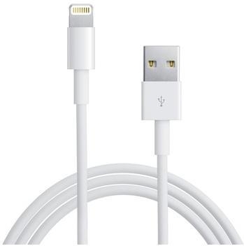 Eerlijk bagageruimte Refrein ᐅ • Lightning kabel geschikt voor Apple iPad Pro - 2 meter | Eenvoudig bij  GSMOplader.nl