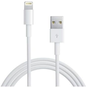 Claire Praten tegen Cumulatief ᐅ • Lightning kabel geschikt voor Apple iPhone 5s - 1 Meter | Eenvoudig bij  GSMOplader.nl