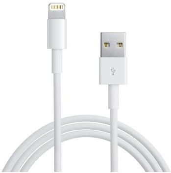 Missie onvoorwaardelijk bespotten ᐅ • Lightning kabel - geschikt voor Apple iPad mini 4 - 2 meter | Eenvoudig  bij GSMOplader.nl