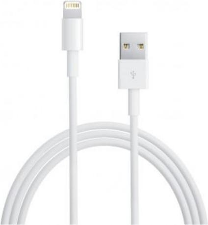 Zwaaien Ongepast Activeren ᐅ • Lightning kabel geschikt voor de Apple iPad 4 - 3 Meter | Eenvoudig bij  GSMOplader.nl