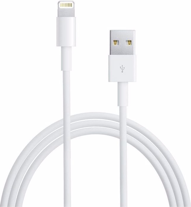 Vorming Gelukkig is dat ding ᐅ • Lightning kabel geschikt voor Apple iPad Pro - 3 Meter | Eenvoudig bij  GSMOplader.nl