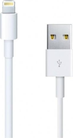 financieel spreken weefgetouw ᐅ • Lightning kabel geschikt voor de Apple iPad 4 - 1 Meter | Eenvoudig bij  GSMOplader.nl
