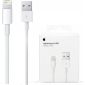 Apple iPad 2017 Lighting Kabel - Origineel Retailverpakking - 2 Meter