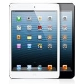 iPad mini Opladers